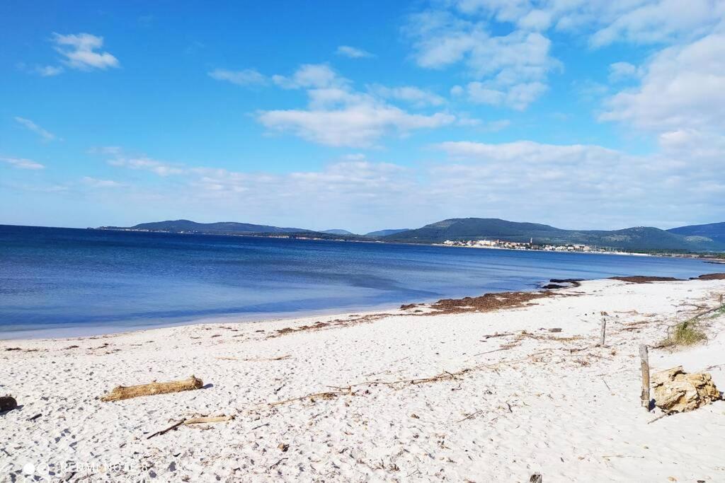 Lejlighed Blue Bay
